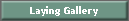 Laying Gallery