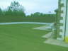 Seeded Lawn