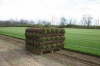 Freshly Cut Turf
