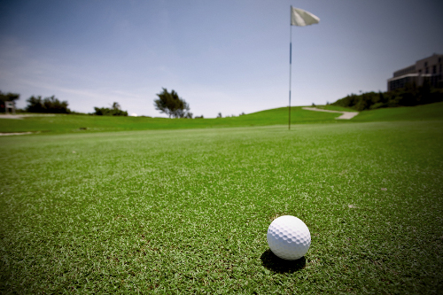 Meglio Seeded Turf