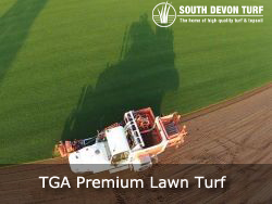 Premium Devon lawn turf grown to TGA standards